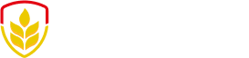 logo vencetudo